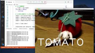 LobeからTensorflow Lite形式でエクスポートしてMacで推論してみました