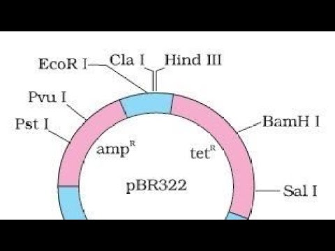 Biotechnology one Shot #neet2023 #biology #neet #revisionlecture #one shot