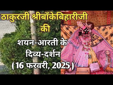 ⚜️श्रीबाँकेबिहारीजी की शयन-आरती के दर्शन ||[16फरवरी, 2025]⚜️🌺 #youtube#radha#laddugopal#bankebihari🌺