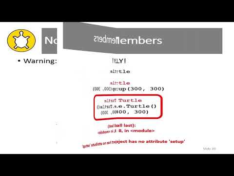 (06) Main Turtle (TG3K)