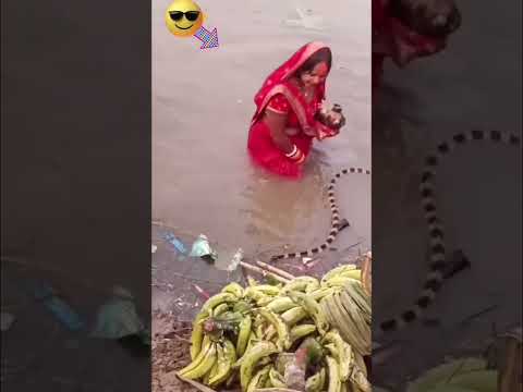 मधुर कीर्तन भजन👌Viral Video🙆♂️ #video #shorts #song