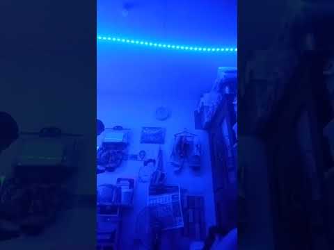 idk what to put here