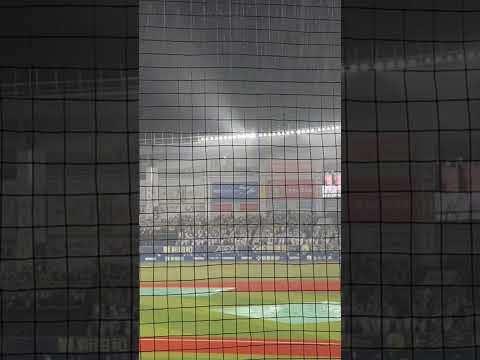 雨天コールドの"ウルトラソウル"が楽しすぎた #プロ野球 #習志野