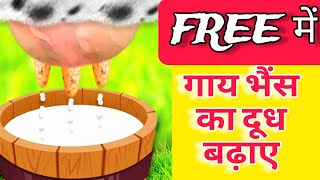 गाय /भैंस का दूथ बढ़ाने का देसी नुस्खा | dudh badane ka desi nuskha/tarika/formula