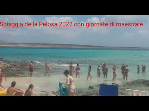 Continuo spiaggia pelosa 2022