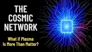 The Cosmic Network: Plasma and the Question of Consciousness