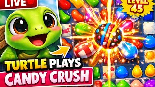 LIVE Candy Crush Fun With Turtle! 🐢🍭 Trending Gameplay #streamwithglip