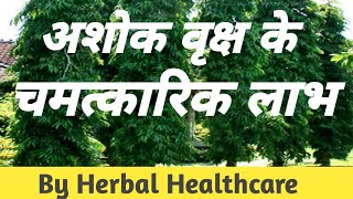 अशोक वृक्ष के फायदे / Health Benefits of Ashok Tree / Ashok ped ke fayde