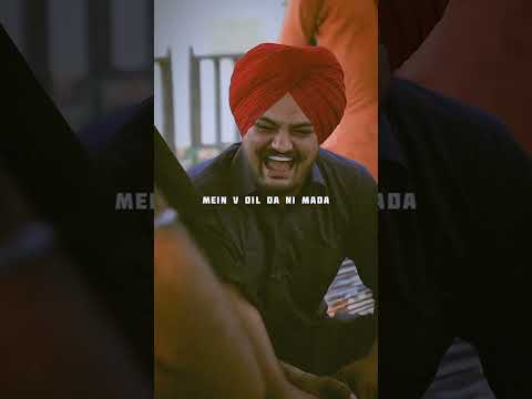 ❤️🥹 #viral #shortvideos #sidhumoosewala #neverfold #punjabi #punjabisong