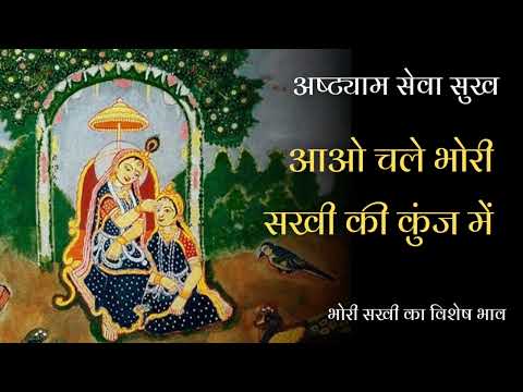 भोरी सखि की कुंज से #bhorisakhi #भोरीसखी #katha #sankirtan #vrindavan #trending #love #viralvideo