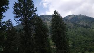 #BetaabValley in #Pahalgam #Kashmir. Comes in the way of Shri #Amarnath Ji Yatra .