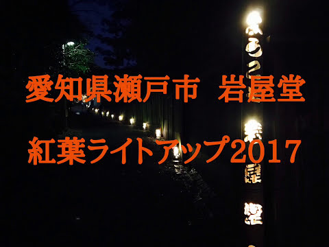 愛知県岩屋堂夜紅葉2017年