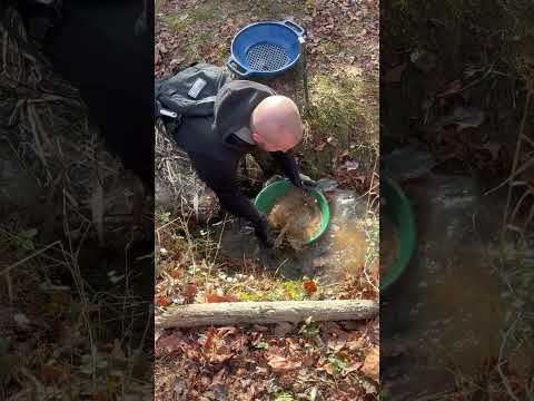 Quick Gold Pan at My Hidden Deposit – Fast Recovery!