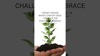 #keepgoingstrong #quotes #risefromfailure #nevergiveup #motivationalquotes #keepwinning