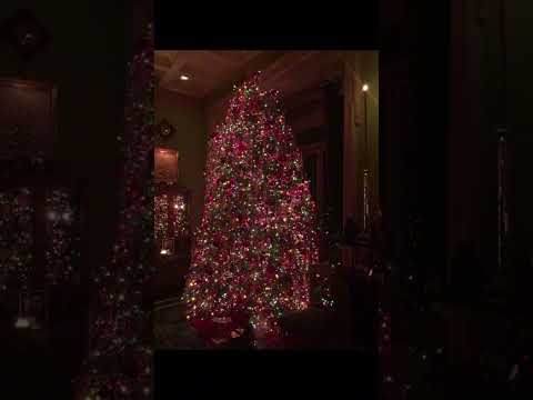 All I Want Is Christmas With You Sneak Peek