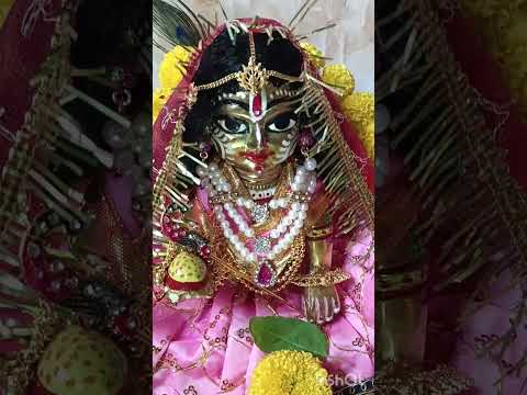 Laddu Ji Ka Shringar on RADHASHTAMI☺️🌼🦚#radhakrishna#radhashtami#janmashtami#laddugopal#shringar