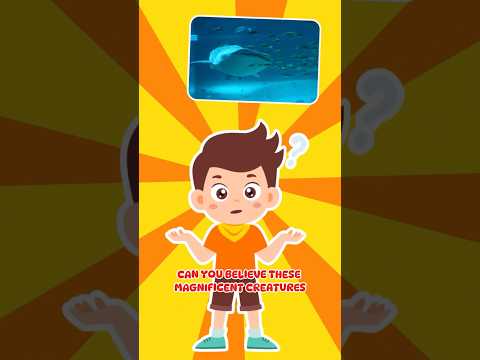 🌊 Which Shark is the largest Shark 🦈 today? #funfacts #shortsforkids