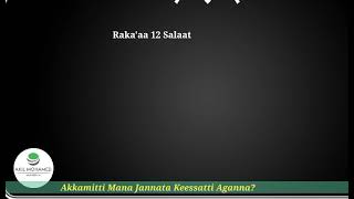 Akkamitti Mana jannata Keessatti jaarratuu dandeenya?||UNITYMEDIA-1|| Let's work together.