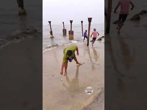 Fish Jumping in Kozhikode Beach today 11/11/22 #fishing #kozhikode #rare
