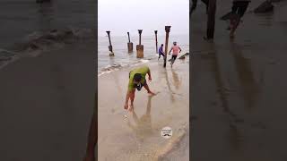 Fish Jumping in Kozhikode Beach today 11/11/22 #fishing #kozhikode #rare
