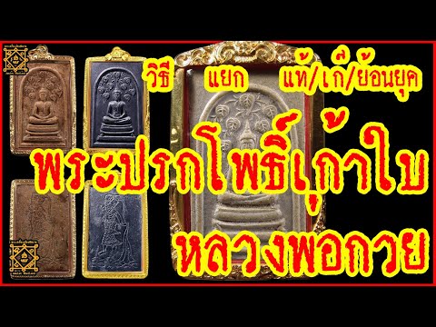 วิธีดู #พระปรกโพธิ์เก้าใบ #หลวงพ่อกวย #แบบชัดเจน แม่พิมพ์ การสร้าง ฯลฯ