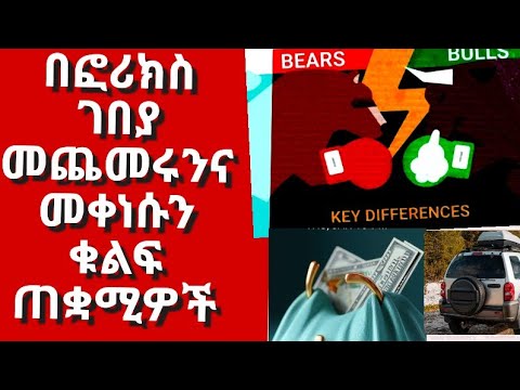 Bull vs Bear Markets: The Forex Edition
