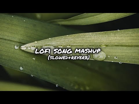 MIND RELAX LOFI SONG | Best lofi song 2025 | SLOWED+REVERB
