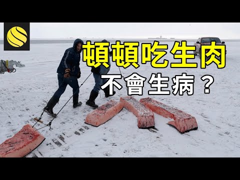 雅庫特人生活在零下50度的地方，頓頓吃生肉，難道不會生病嗎？