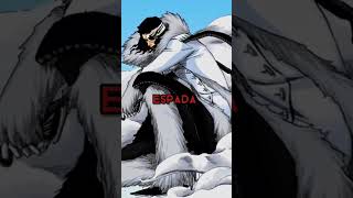 VIZARD | Espada | Gotei13 #bleach #shorts #anime #edit #vizard #gotei13 #espada
