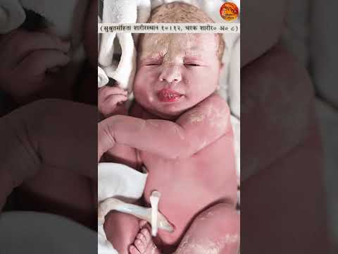 Umbilical cord कितना measure करके काटना चाहिए  #facts #sanatandharm #baby #girl #science #hanuman