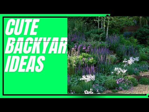 cute backyard ideas backyard decor backyard patio backyard wedding backyard landscaping