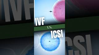 IVF vs. ICSI: Which Treatment is Better? #ivf #icsi #fertility