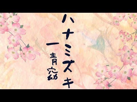 ハナミズキ/一青窈 歌詞付き🌺高音質フル🎧(cover) Hanamizuki - Yo Hitoto