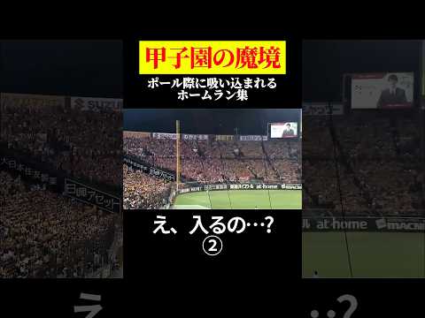 ②「コレ入るの…?」甲子園の魔境ポール際HR集