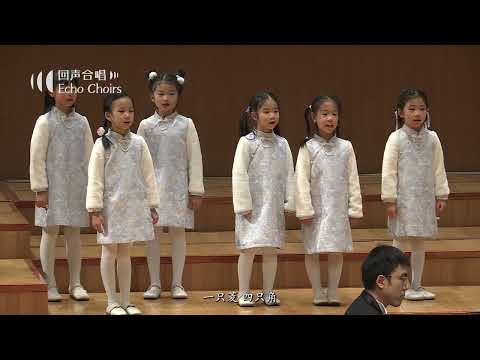 【回声少年合唱团】菱儿