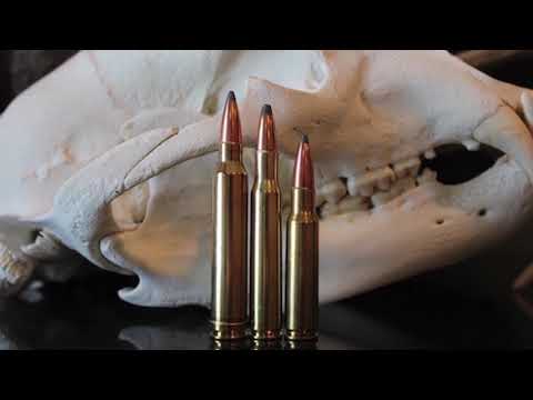 308 vs 30-06 vs 300 Win Mag: Which One Should You Hunt With?