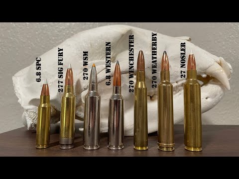 Complete guide to 270 Caliber Cartridges | 270 Win, 270 WSM, 270 Weatherby, 6.8 Western & More!