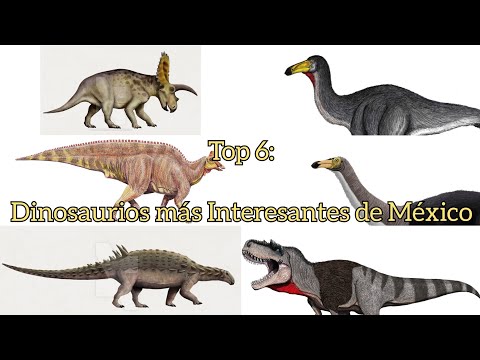 Top 6: Dinosaurios más interesantes de México