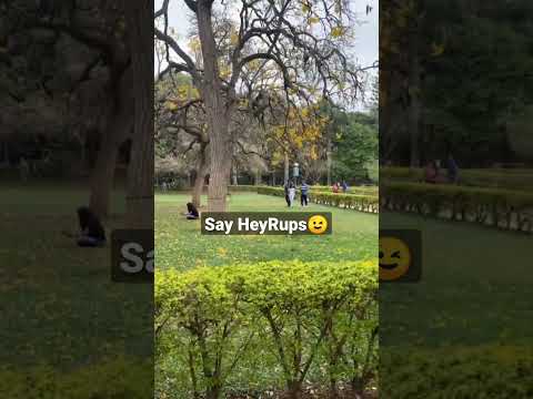 HeyRups #shorts #trendingshorts #vlogs