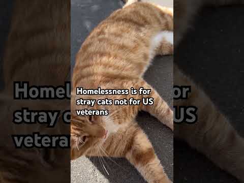 Why can’t we take care of our #veterans ?