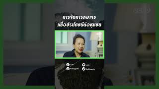 การจัดการหมาจรเพื่อประโยชน์ต่อชุมชน | echo