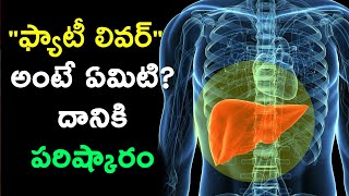 What is Fatty Liver? | Fatty Liver Problem Solution |  Mee Arogyam