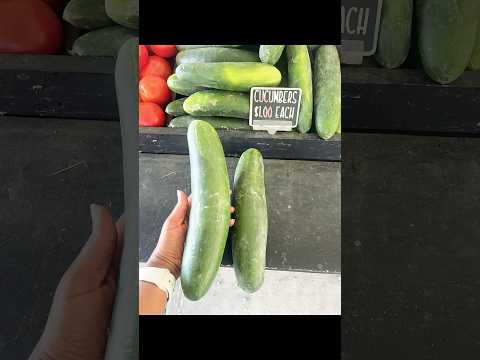 How to Save Money on a Plant-Based Diet | Eat More Spend Less