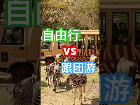 自由行vs跟團遊：跟團像參觀動物園  #travel | 旅行 | 海外旅行 | 旅行團 | 旅行攻略