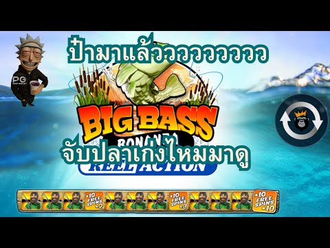 สล็อตpp |   สล็อตแตกง่าย สล็อต สล็อตเว็บตรง สล็อตวอเลท ปั่นสล็อต