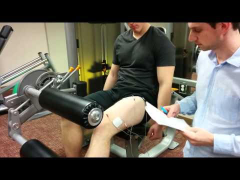 Electrostimulation Training Effects on the Physical Performance of Ice Hockey Players