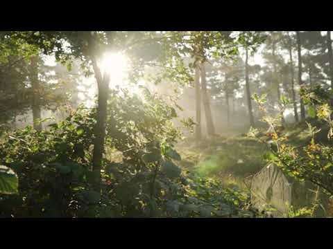 Calming Music for Stress Relief and Anxiety | Relaxing Music, Meditation Music, Sleeping Music