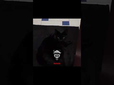 Bro Is Darker Than Dark💀 #cat #trollface #shorts