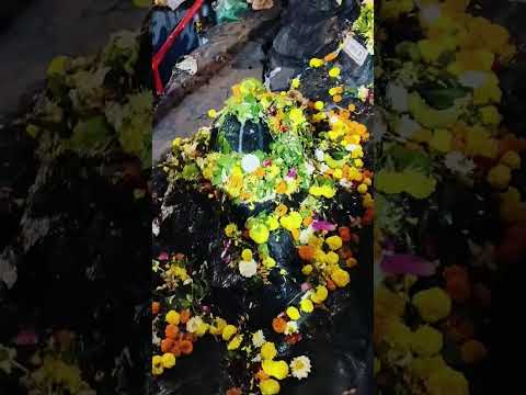 हर हर महादेव! महाशिवरात्रीच्या हार्दिक शुभेच्छा! 🙏🙏🙏🙏