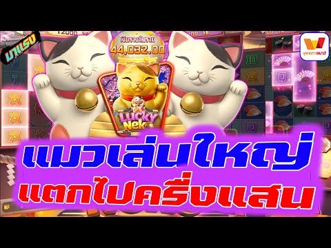 สล็อตวอเลท | สล็อตวอเลทเว็บตรง | เว็บสล็อตวอเลท | แมวเล่นใหญ่ แตกไปครื่งแสน !!